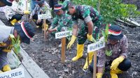 Komandan Kodim 0117/Aceh Tamiang bersama Forkopimda vHadiri Dan Dukung Gerakan Menanam 77000 Pohon Mangrove