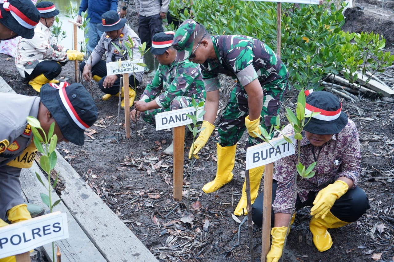 Komandan Kodim 0117/Aceh Tamiang bersama Forkopimda vHadiri Dan Dukung Gerakan Menanam 77000 Pohon Mangrove