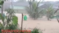 Pekon gunung tiga ulu belu Diterjang banjir