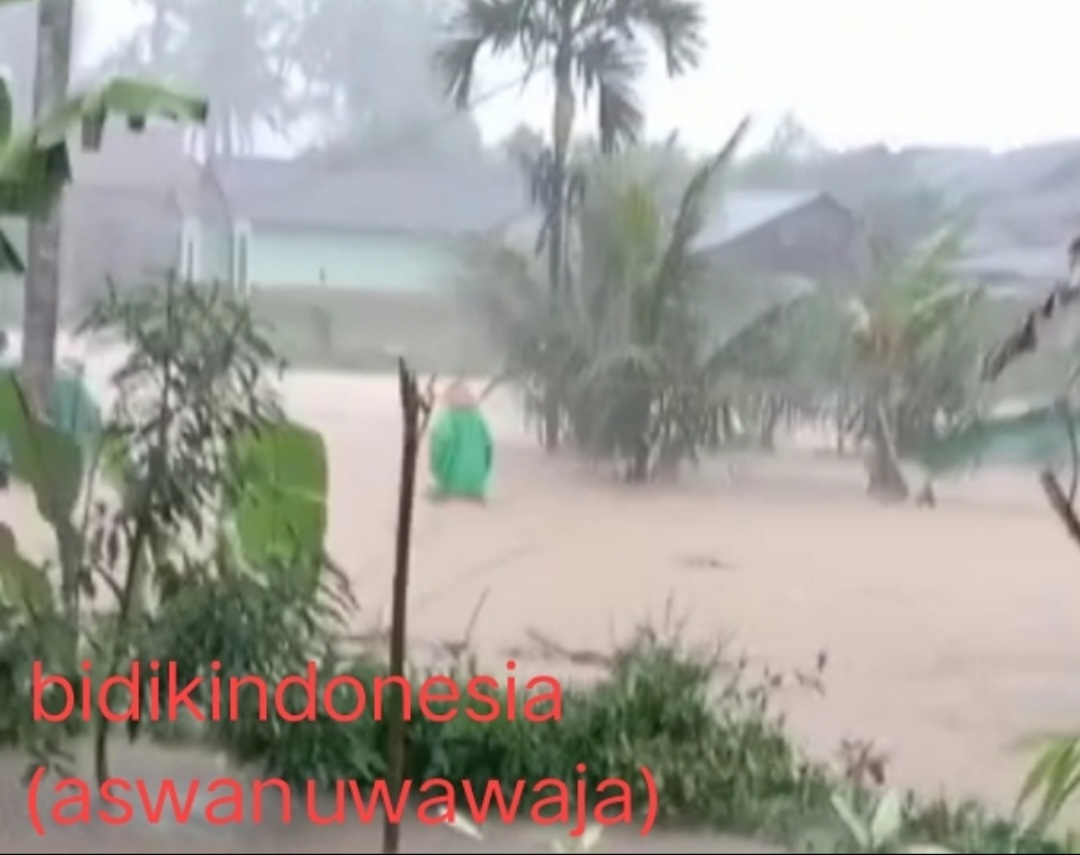 Pekon gunung tiga ulu belu Diterjang banjir