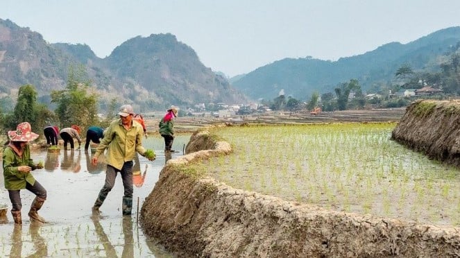 Muhaimin Minta Pemerintah Evaluasi Kebijakan Impor Beras