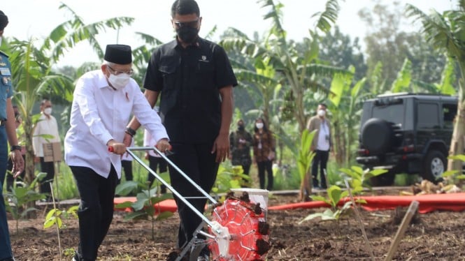 Harapan Wapres Maruf ke Calon Panglima Laksamana Yudo Margono Terkait Papua