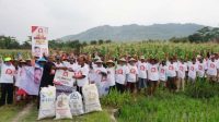 Galang Dukungan Untuk Puan, Relawan Bantu Petani di Magetan