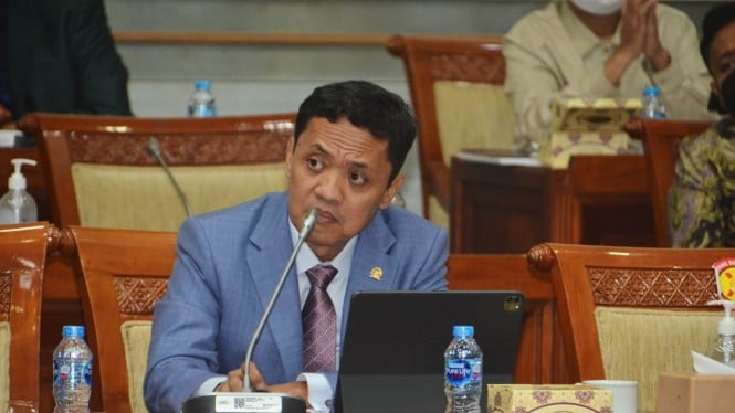 DPR Minta Hotman Paris Tidak Khawatir Soal Kumpul Kebo di KUHP Baru