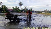 Babinsa Koramil 04/ Bendahara  Membajak Sawah bersama Petani dengan hand Traktor