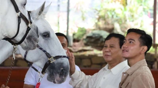 Elite Gerindra: Pak Prabowo Siap Dukung Gibran di Jawa Tengah atau DKI Jakarta