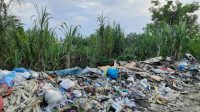 Di duga Kurang Tanggap Dinas Kebersihan ada Sampah Dalam Komplek Perkantoran Aceh Tamiang