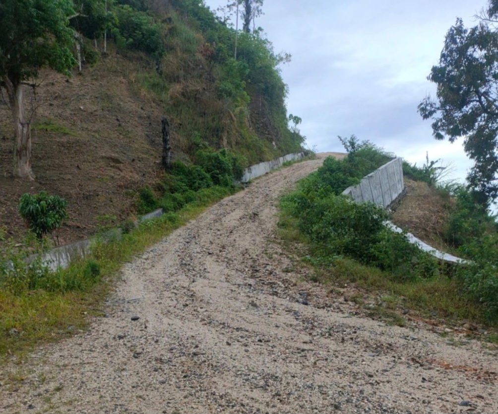 Pembangunan Jalan Kutacane-Langkat Picu Ilegal Loging