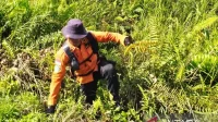 Basarnas masih cari nenek yang hilang di kebun karet