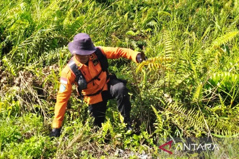 Basarnas masih cari nenek yang hilang di kebun karet