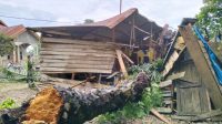 Sebanyak 4 Rumah di Aceh Timur Rusak Parah, Akibat Pohon Tumbang