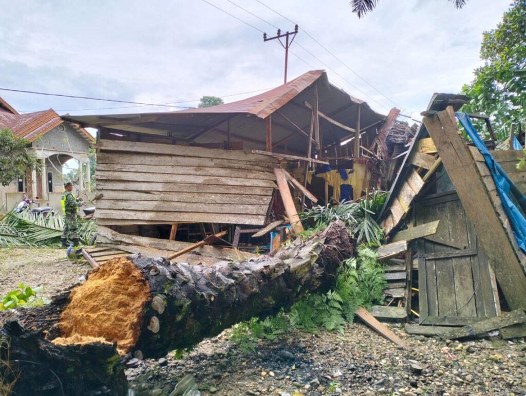 Sebanyak 4 Rumah di Aceh Timur Rusak Parah, Akibat Pohon Tumbang