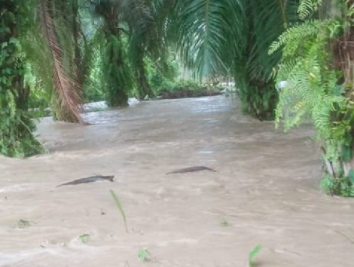 Update Kondisi Terkini Korban Banjir Aceh Utara