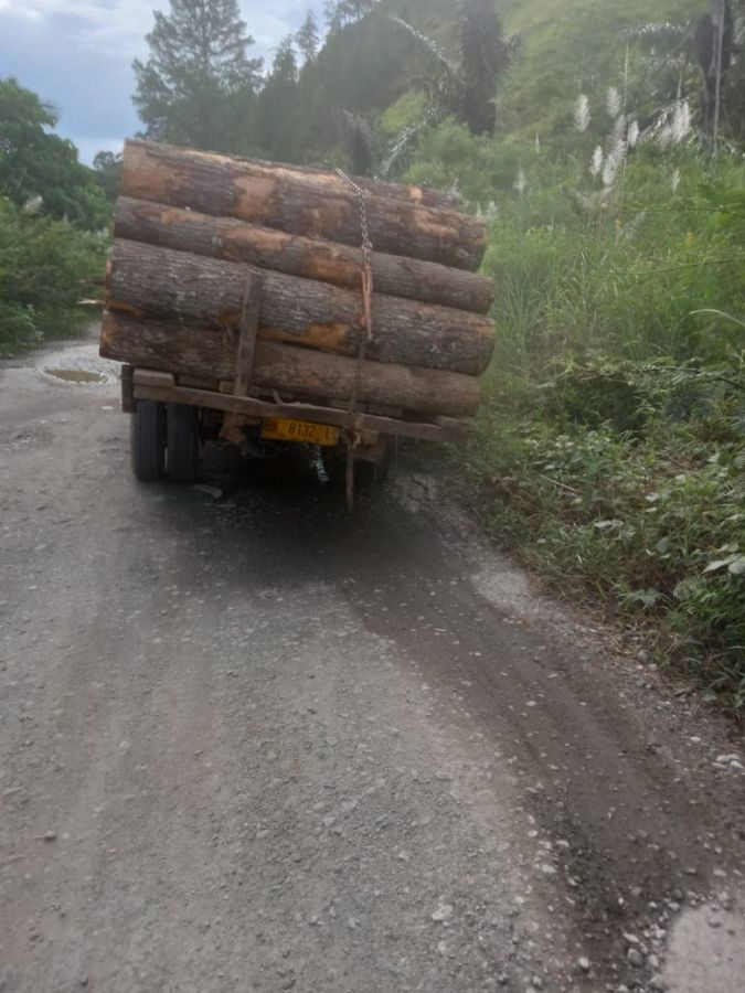 Truk Pembawa Kayu Kelondongan Membahayakan Pengguna Jalan