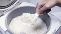 Saat ini Rakyat butuh Beras, bukan Rice Cooker