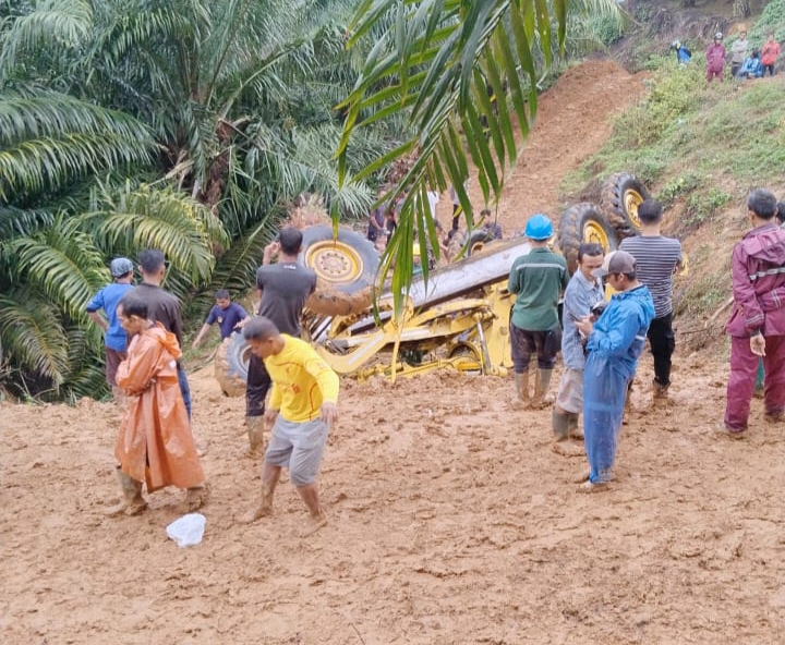 Motor Greder Tergelincir di Kebun Sawit, Tiga Operator PT TP3 Tewas