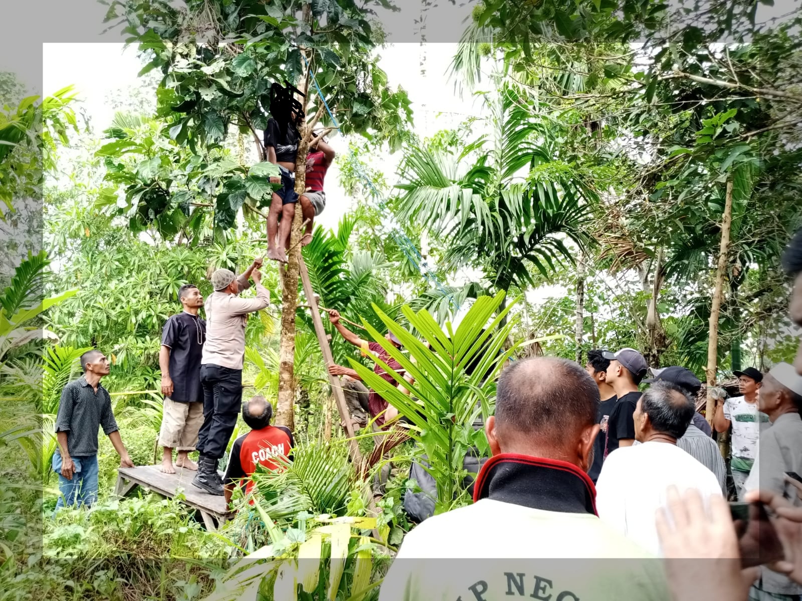 Seorang Warga Simeulue Ditemukan Tergantung di Pohon