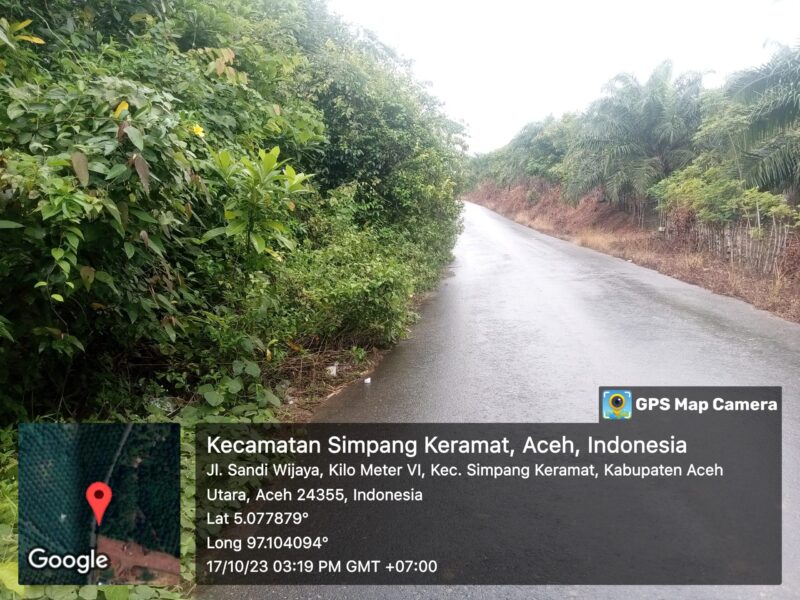 Hampir Rp 3 M’ Dana Pemeliharaan Jalan di Aceh Utara, Jalan Induk Simpang keuramat Ditumbuhi Semak Belukar