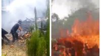 Gercep Damkar Gumer Aceh Singkil Terjun Ke Lokasi Kebakaran, 1 Unit Rumah Nyaris Terbakar Di Simpang Kanan