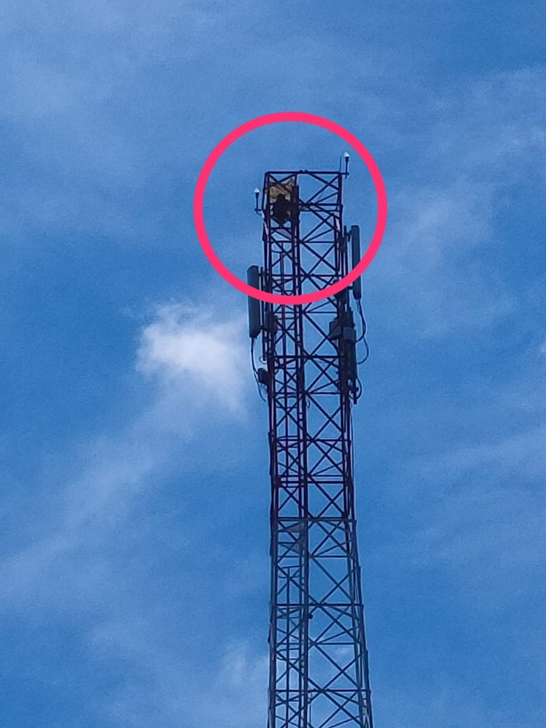 Emak-Emak Panjat Tower Provider di Indra Makmur Aceh Timur, Berhasil di Evakuasi oleh Polisi bersama TNI dan Warga