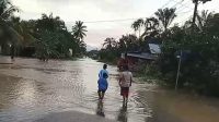 Akibat Diguyur Hujan 4 Gampong di Tripa Makmur Terendam Banjir