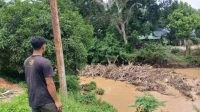 Bongkahan Kayu Tertambat di Bawah Jembatan Krueng Doi, Blang Galang