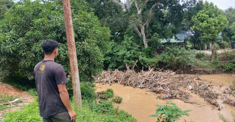 Bongkahan Kayu Tertambat di Bawah Jembatan Krueng Doi, Blang Galang