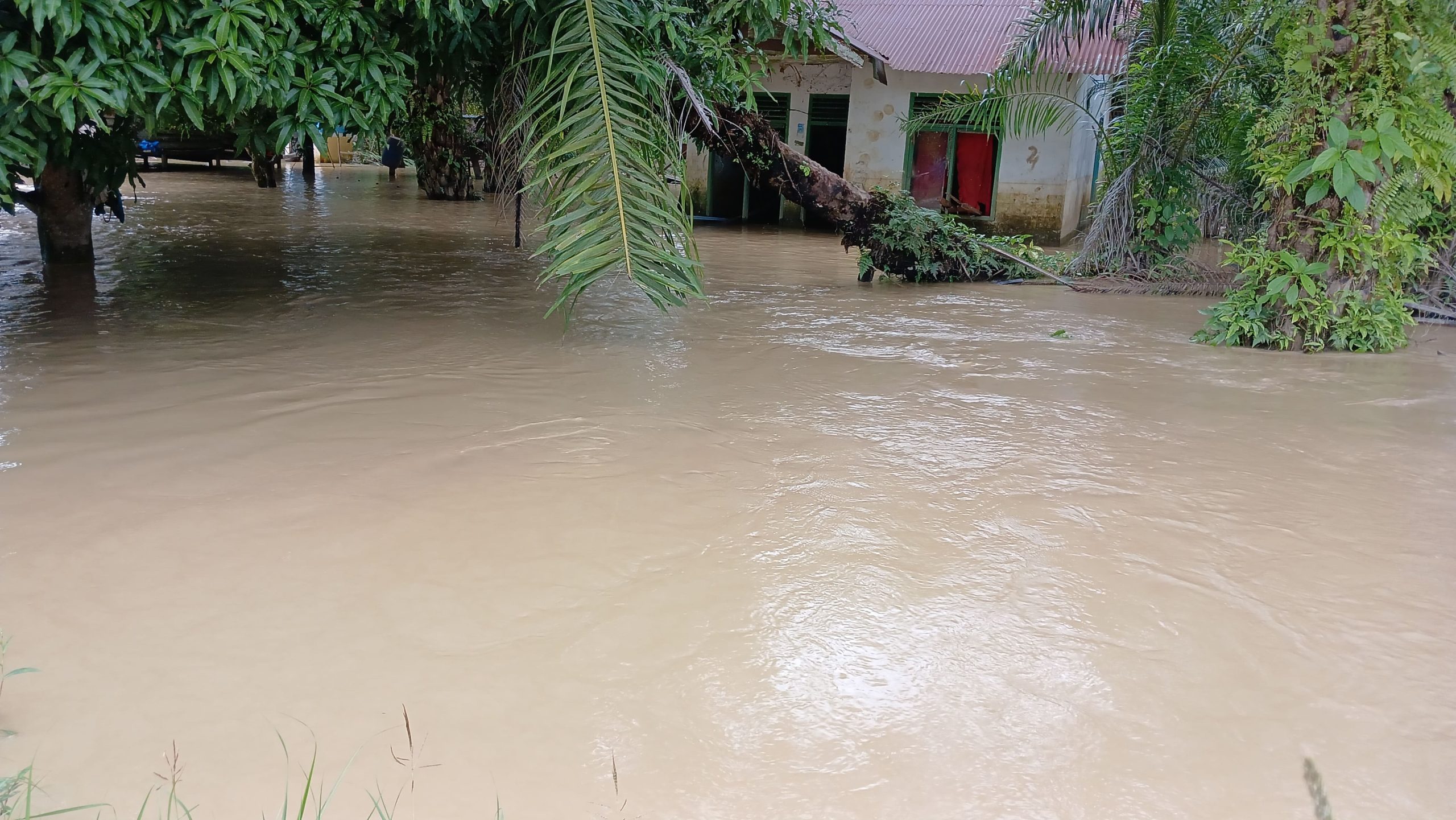 Krueng Tripa Kembali Meluap, Beberapa Gampong di Nagan Raya Dilanda Banjir