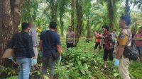 Remaja 14 Tahun di Aceh Utara Ditemukan Tewas Gantung Diri