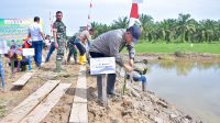 PJ.Bupati Asra Tanam Vetiver Di Tanggul Cegah Erosi