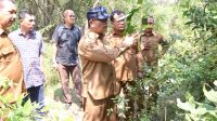 Kadinsos Aceh Telusuri Aset Milik Dinas Di Lhoknga