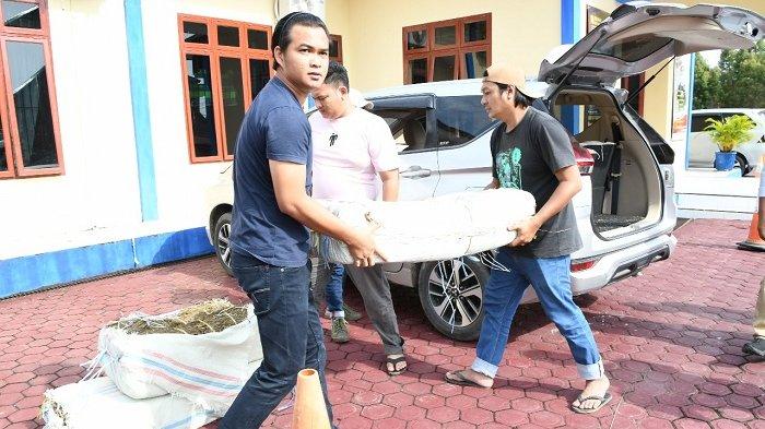 Penangkapan Kurir Ganja 75 Kg di Aceh Timur