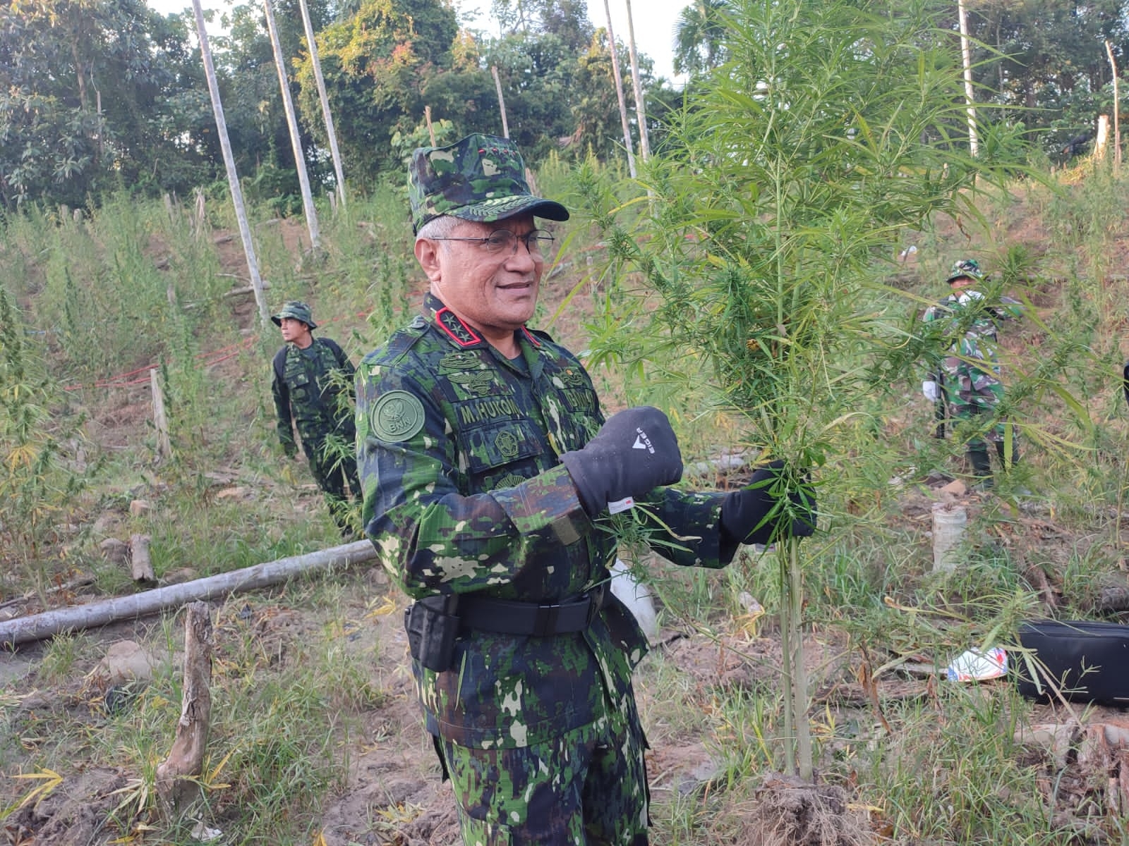 Kepala BNN RI Marthinus Hukom Pimpin Langsung Pemusnahan 2 Hektar Ladang Ganja Sawang Aceh Utara