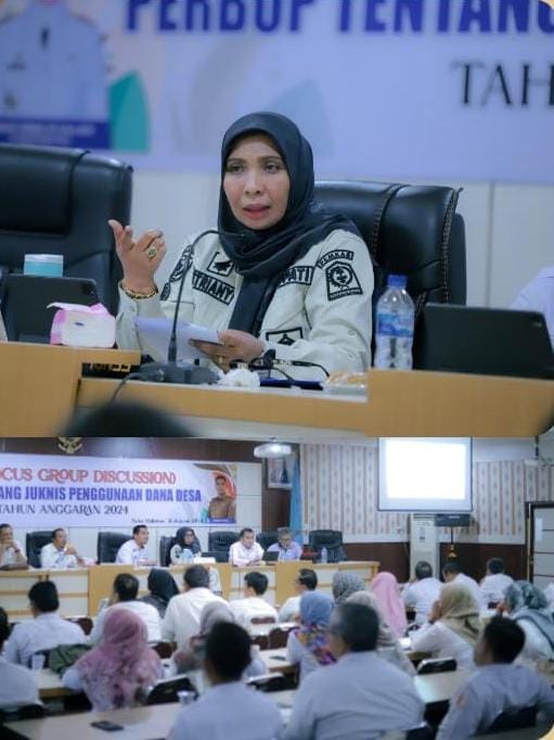 Pemkab Nagan Raya Melalui DPMGP4 Mengadakan FGD Perbup Penggunaan DD TA 2024