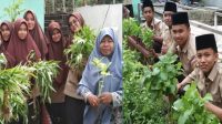 Santri Dayah Al Furqan Bambi Panen Raya Prakarya Tanaman Bayam & Kangkung