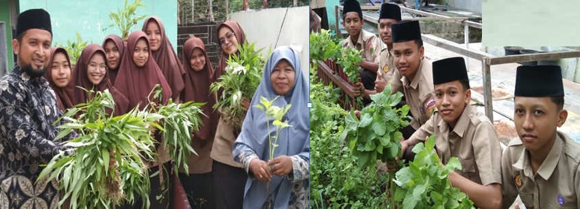 Santri Dayah Al Furqan Bambi Panen Raya Prakarya Tanaman Bayam & Kangkung