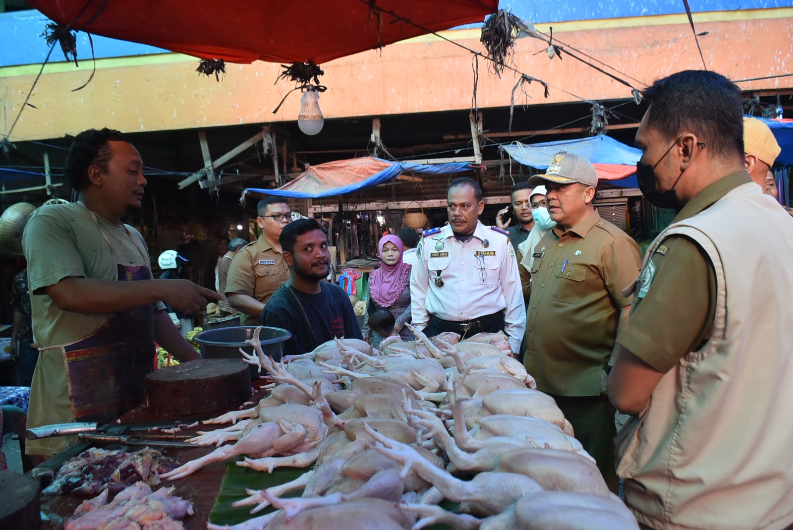 Pemkab Aceh Tamiang,pemerintah Aceh Dapat Membangun Pabrik Pakan Ayam