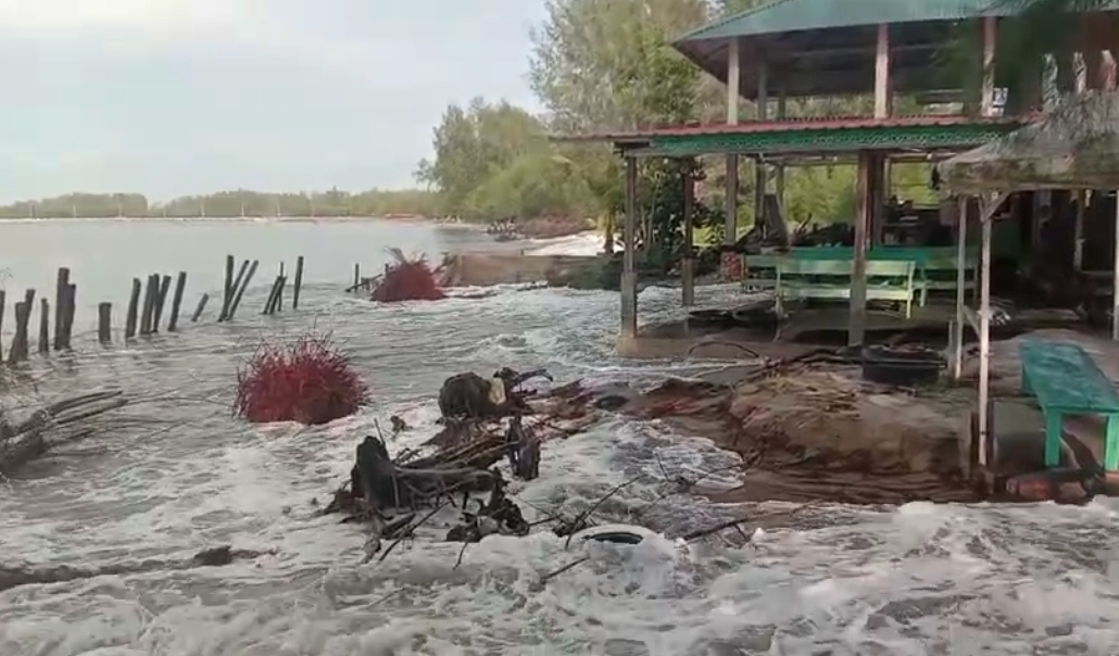 Satu Rumah di Aceh Singkil Terancam Tersapu Ombak, Abrasi Kian Parah