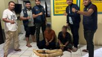 Dua Warga Pidie Diringkus Polisi, Kedapatan Bawa Gading Gajah