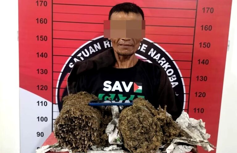 Dengan Barang Bukti 2 Kg Ganja Warga Asal Aceh Timur Dibekuk Di Lhoksukon 