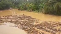 Diduga Dampak Land Clearing Perusahaan Sawit, Sungai Singgersing di Subulussalam Tercemar