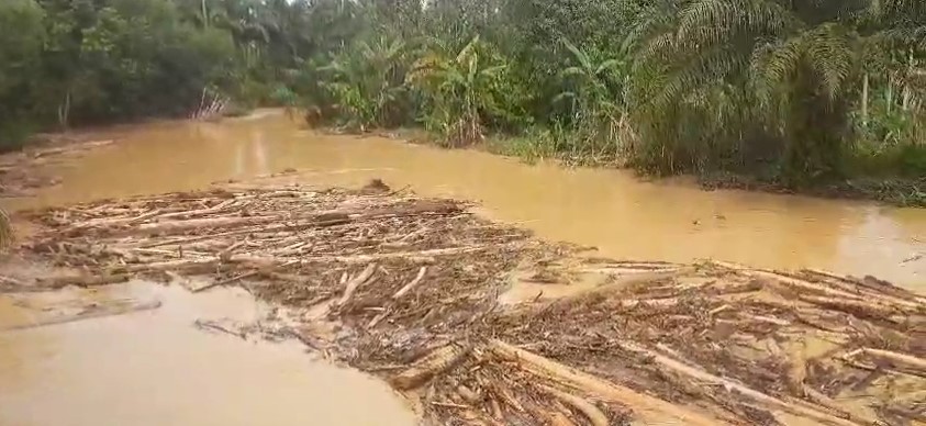 Diduga Dampak Land Clearing Perusahaan Sawit, Sungai Singgersing di Subulussalam Tercemar