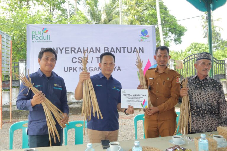 PLN UPK Nagan Raya Gelar Pelatihan UMKM