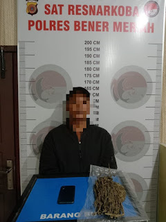 Seorang Pria Diamankan Polisi, Bersama Barang Bukti Ganja Kering