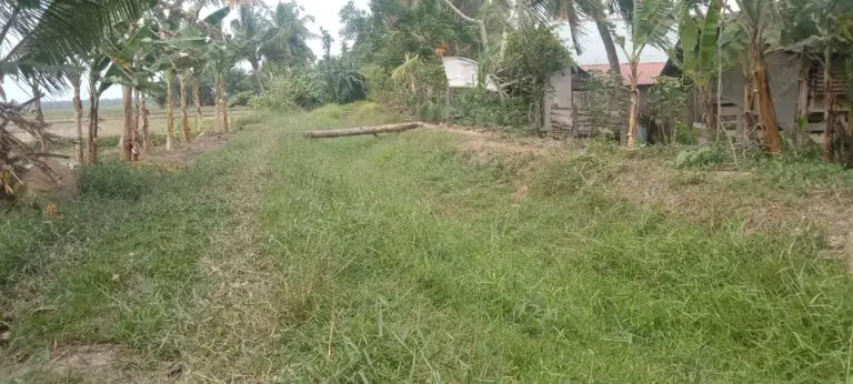 Terancam Tak Bisa Turun ke Sawah Tiga Desa Di Kecamatan Baktiya