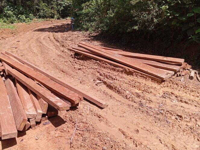 Dalam Kawasan Hutan Mukim Krueng, WALHI Aceh Temukan Ada Illegal Logging