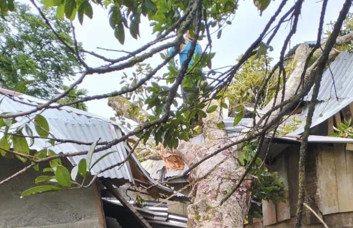 Tiga Unit Rumah Warga Di Aceh Barat rusak Dan Seorang Meninggal Akibat Angin Kencang