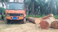 Di Jalan Dam 5 Cot Girek Kayu Ilegal Logging Diduga Bebas Beroperasi