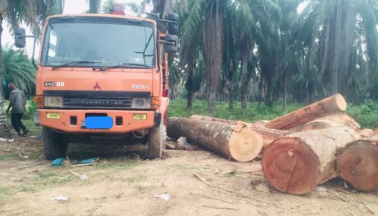 Di Jalan Dam 5 Cot Girek Kayu Ilegal Logging Diduga Bebas Beroperasi