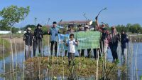 FJL Gelar Aksi Tanam Mangrove di Pesisir Pantai Lampulo, Peringati Hari Lingkungan Sedunia